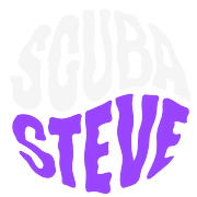 Scuba Steve Art